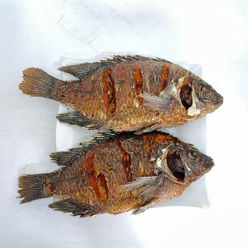 Why Tilapia Is the Perfect Everyday Fish