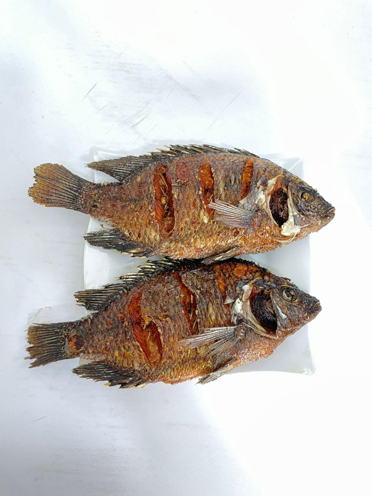 Why Tilapia Is the Perfect Everyday Fish